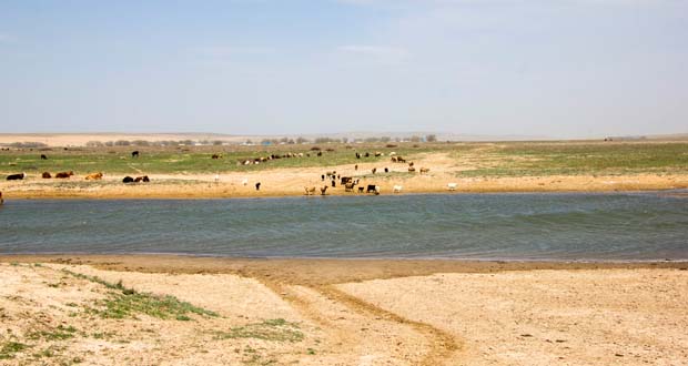Река Сагыз